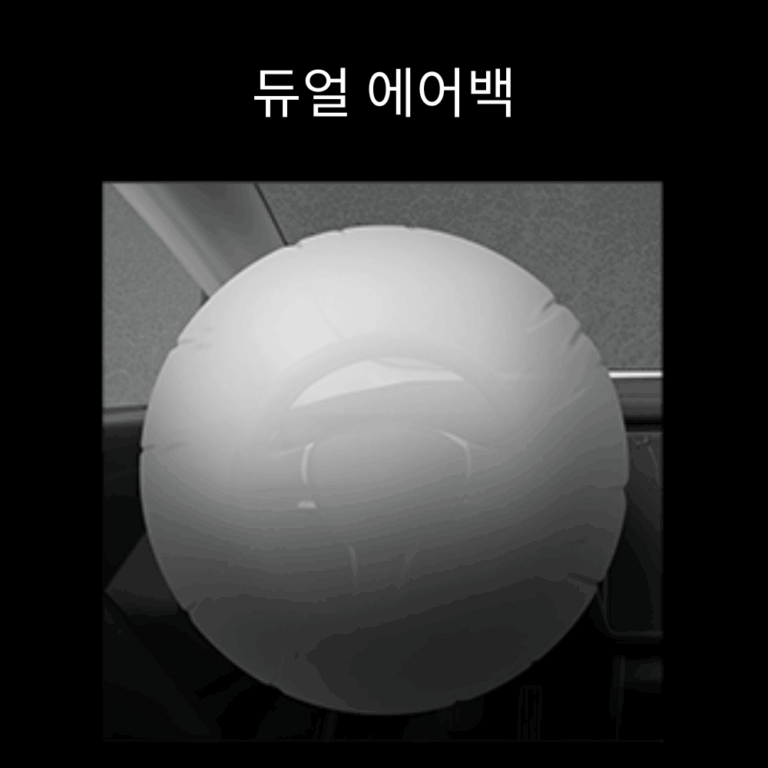 듀얼 에어백